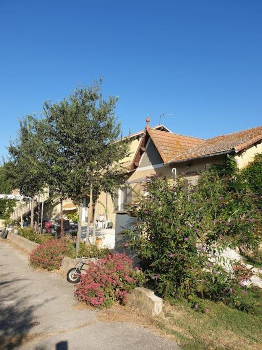 St Remy De Provence, La Maison Du Berger Saint-Andiol Ngoại thất bức ảnh