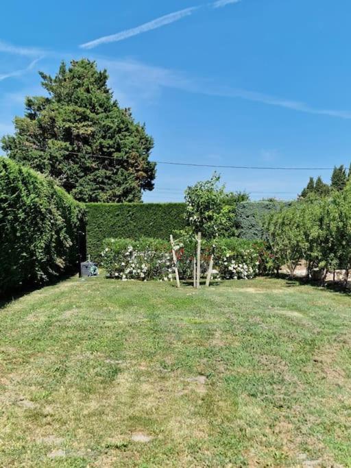 St Remy De Provence, La Maison Du Berger Saint-Andiol Ngoại thất bức ảnh